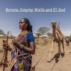 borena singing wells and elsod